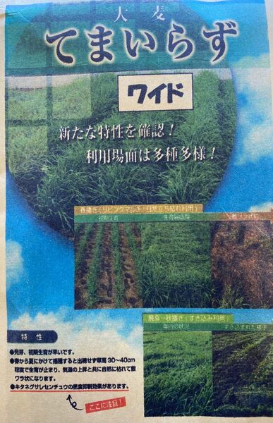 緑肥で雑草を制す！てまいらずワイド大麦種子500ml