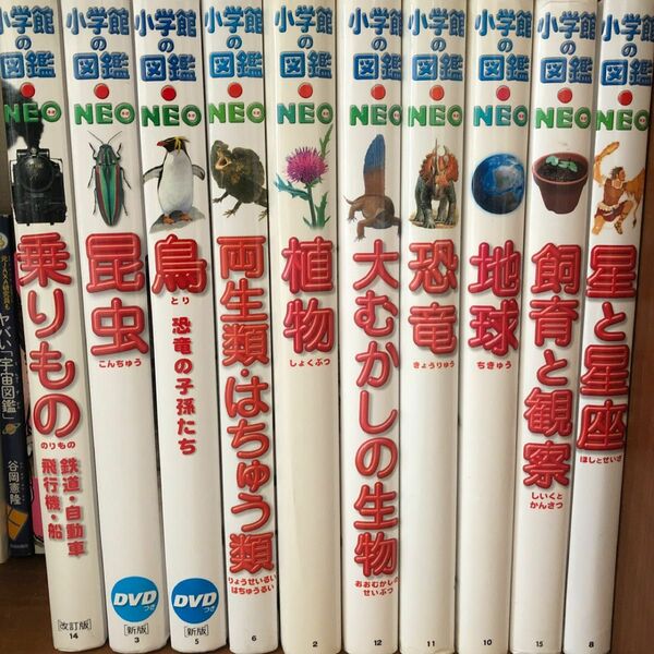 小学館の図鑑　NEO 10冊セット　幼稚園　小学校　中学受験　新版　知育　右脳