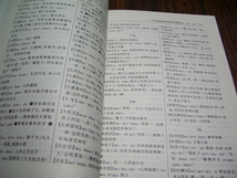 洛陽方言詞典　現代漢語方言詞典 分巻_画像3