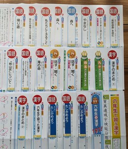 【記入済み】カラーテストの問題★小6_国語★2023年度分_22枚★光村図書_光文書院 小学 6年【送料無料】