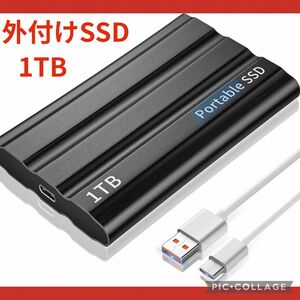 外付けSSD1TB ポータブルSSD 読出最大520MB /秒 耐衝撃 超高速 金属の質感 