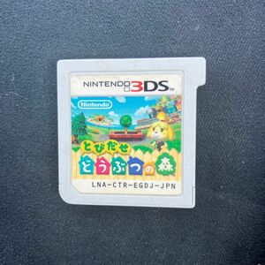 3DS とびだせどうぶつの森