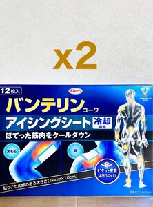 【外箱なし】２個セット　KOWA バンテリンコーワ アイシングシート 12枚入｜計24枚｜ボディ用クールダウンシート（冷却専用）