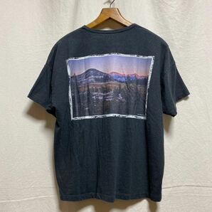 美品 Gohemp ART LAB バックプリント ポケットTシャツ 半袖Tシャツ フォトプリント 北村勇祐 写真家 ゴーヘンプ アートラボの画像2