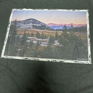 美品 Gohemp ART LAB バックプリント ポケットTシャツ 半袖Tシャツ フォトプリント 北村勇祐 写真家 ゴーヘンプ アートラボの画像10