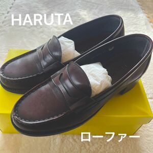 HARUTA 茶 ローファー