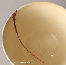 【丸藤】賀集珉平 珉平海老茶碗 共箱 無印（茶道具 陶磁器 陶芸 珉平焼 淡路焼 正月 祝賀 ）_画像5