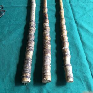 け60 和竿製作用 布袋竹3本 全長500 グリップ 13.7〜19.8 先径11.4〜15.2mm