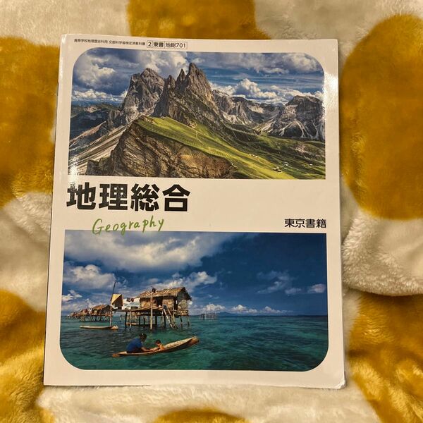 地理総合　高校内容　教科書