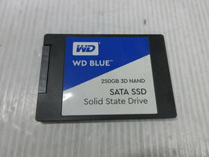 WD BLUE SSD 250GB 3D NAND SATA Solid State Drive WDS250G2B0A 中古品