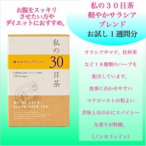 体スッキリ！　軽やかサラシアブレンド 私の30日茶1週間分7TB