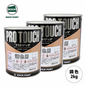  lock paint Pro Touch toning Toyota 1G3 gray M 2kg( dilution settled )Z26