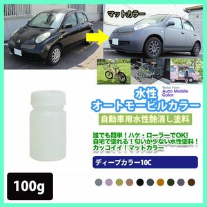 水性オートモービルカラー 17-50P キャメルブラウン 100g/艶消し 水性塗料 つや消し 車　 Z17