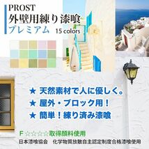 サンプル 簡単！外壁用練り漆喰プレミアム 全15色 10ml /PROST 練済み漆喰 日本製 左官 塗り壁 漆喰 ペイント 外壁用 漆喰_画像2