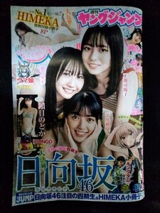 [13548]週刊ヤングジャンプ 2023年11月16日号 No.49 集英社 キングダム BUNGO カテナチオ 恋愛代行 イリオス バツハレ 女優めし 日向坂46