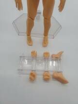 マックスファクトリー figma archetype next she flesh color ver. 男性 ノンスケール ABS&PVC製 塗装済み可動フィギュア_画像2