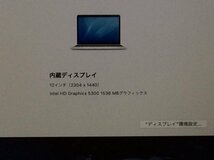 Apple MacBook Retina Early2015 A1534 macOS　Core M 1.20GHz 8GB 512GB(SSD)■1週間保証_画像9