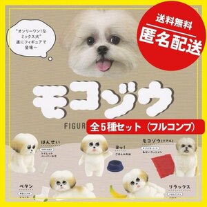 モコゾウ フィギュアコレクション　全5種セット（フルコンプ） ガチャ カプセルトイ ミニチュア インスタ　【匿名配送・送料無料】