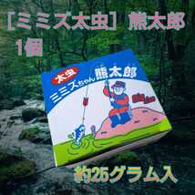 ［熊太郎ミミズ］太虫　約25グラム入　渓流釣り　川釣り　イワナ　ヤマメ　釣りエサ_画像1