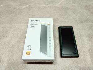 【美品】SONY WALKMAN NW-ZX300【dignisレザーケース付き】