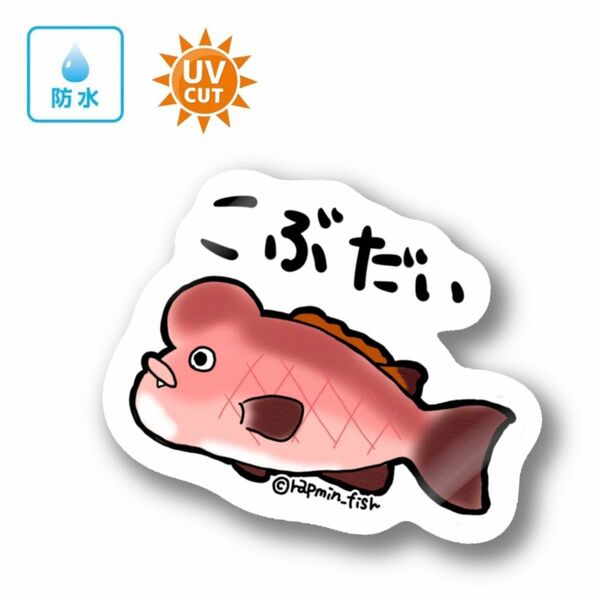 097 コブダイ【防水&UVカット】釣り好きステッカー☆