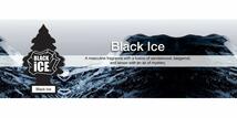 送料込み 12枚 リトルツリー ブラックアイス エアフレッシュナー 芳香剤 USDM LittleTree Black Ice_画像6