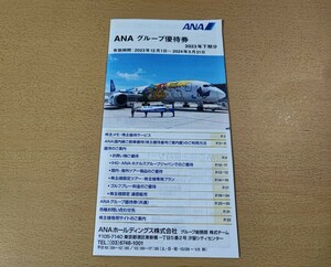 ■全日本空輸 / 株主優待券 ANAグループ優待券 売店・旅行・ホテル・ゴルフ場割引券冊子