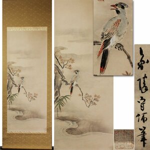 Art hand Auction Gen [Buy it now, free shipping] Old painting from the Edo period (1) Small bird on autumn leaves by Enryo Kano, box included, Painting, Japanese painting, Flowers and Birds, Wildlife