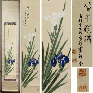 《源》田能村直外 自画讃句 端午清満「菖蒲図」/箱付