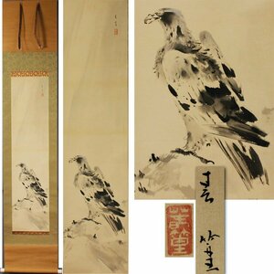 Art hand Auction 《源》【即決･送料無料】兼本春篁 筆｢瀑布･鷹図｣/箱付, 絵画, 日本画, 花鳥, 鳥獣