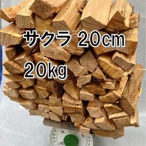 サクラ100%薪20kg 20cm中心ソロキャン#146