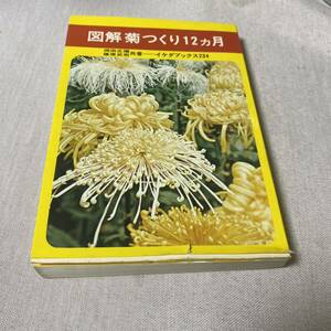  illustration . making 12 months ikeda books 234 hill rice field regular sequence ....book
