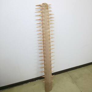 ◎コレクション放出◎ノコギリ鮫 ノコギリエイ 鋸 Sawfish ソーフィッシュ 吻 剥製 全長約121cm 最大幅約21cm 重さ約2.4kg はくせい 化石 