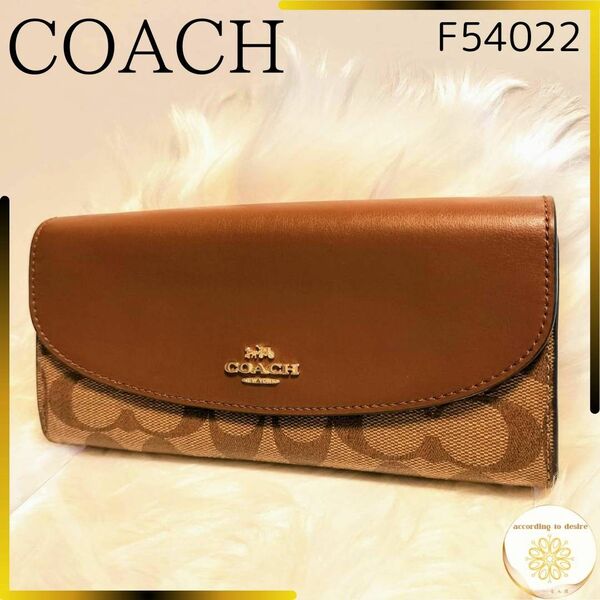 美品 コーチ レディース 長財布 エンベロープ ウォレット シグネチャー レザー 財布 COACH ブラウン