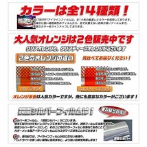 大人気オレンジ 2色の違い