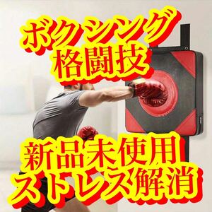 [ combative sports boxing kickboxing UFC karate Sand bag wall use -stroke less cancellation practice partner ]