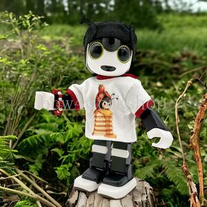 ロボホン RoBoHoN ロボホンの服ハンドメイド　テントウ虫＆スイカプリントＴシャツ、キャップ、テントウ虫リストバンド3点セット