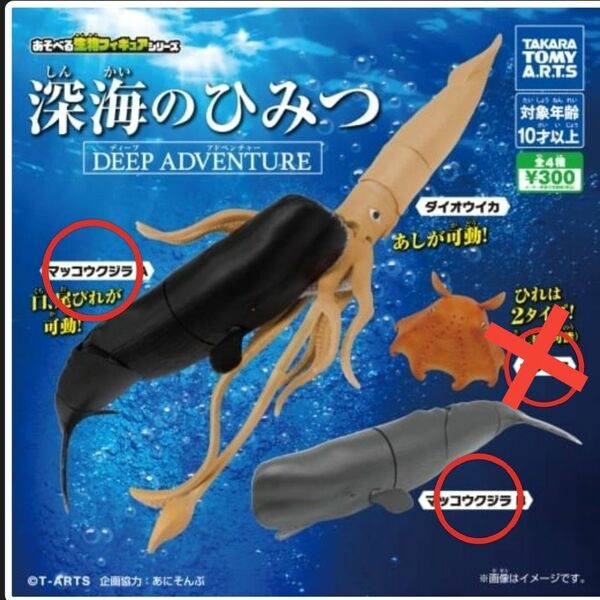 深海のひみつ DEEP ADVENTURE 3　2種セット