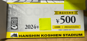 2024年　甲子園球場　商品お引換券　５００円x2０枚