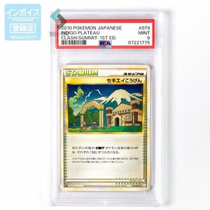 PSA9　セキエイこうげん　　1st　LEGEND　レジェンド　079　2010