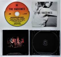 万1 08572 Vaccines ザ・ヴァクシーンズ / What Did You Expect From The Vaccines [CD] 解説・歌詞・対訳付 ※対訳に汚れ_画像3