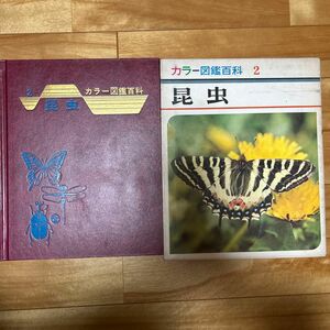 カラー百科図鑑 昆虫 図鑑 世界文化社 昭和レトロ