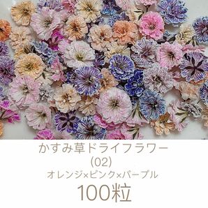 (02)かすみ草ドライフラワー100粒
