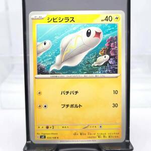 ◆ポケモンカード　シビシラス　HP40