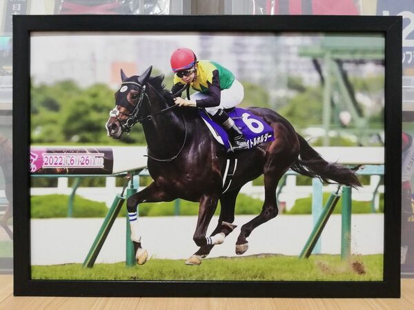 競馬.タイトルホルダー.パネル.競馬ブック.宝塚記念