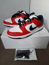 【新品　1円スタート】NIKE DUNK シカゴタイプ NIKE BY YOU ナイキ　ダンク　SBタイプシューレース付き_画像4