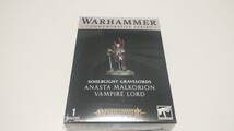 (未開封) Warhammer Soulblight Gravelords Anasta Malkorion Vampire Lord ヴァンパイア・ロード アナスタ・マルコリオン 2_画像1