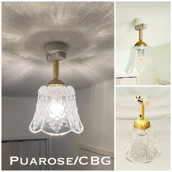 天井照明 Puarose/CBG プアロゼ シーリングライト ガラスシェード 角度自在器付 真鋳器具 LED照明 間接照明 送料込