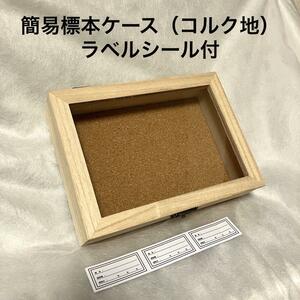 【標本道具】簡易標本箱（コルク地）　ラベルシール付き