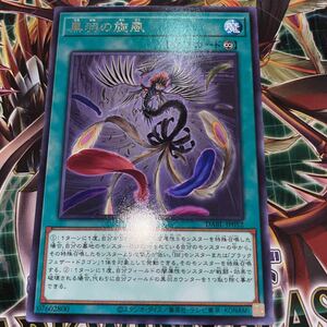 遊戯王　レア　DABL-JP052　黒羽の旋風　 DARKWING BLAST